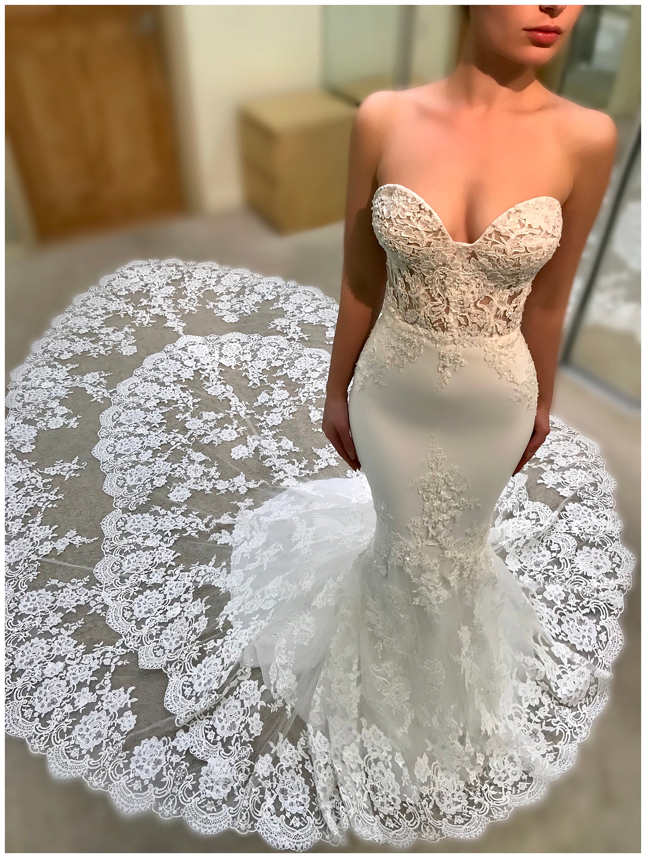 Enzoani-2019-Nami-dimitras-bridal-chicago-ivory-fitted-lace-and-crepe ...