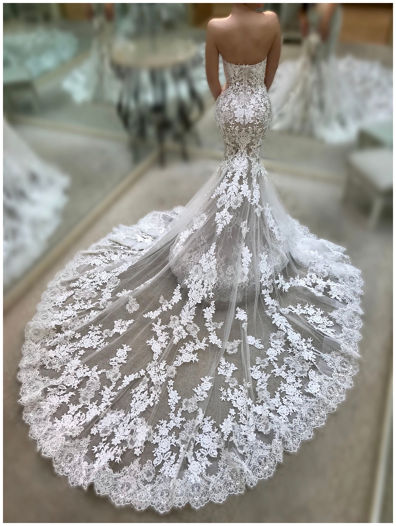 fitted wedding dress with long train